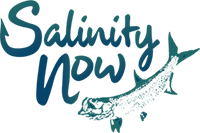 Salinity Now Logo