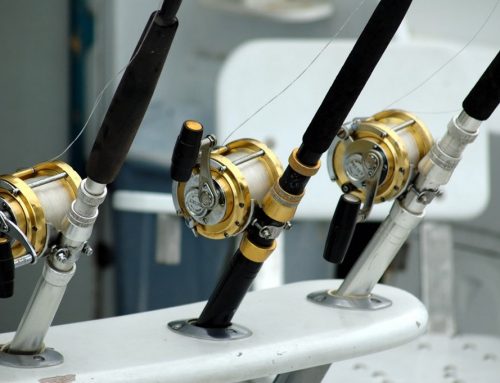 How to Choose the Best Fishing Charters for You