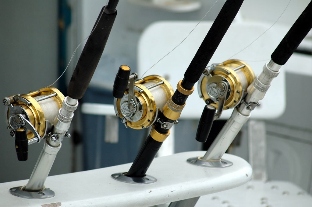 Fishing Charters | St Petersburg | Salinity Now