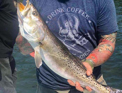 Fishing Guides Secrets: How to Catch Big Speckled Trout