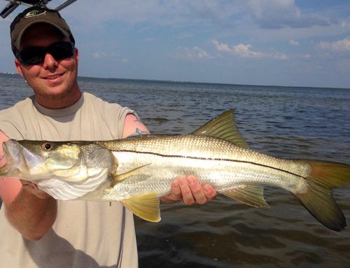 Should I Tip the Captain of My Snook Fishing Charter?