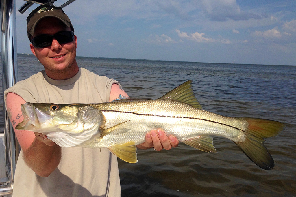 Snook Fishing Charter | Tampa Bay | Salinity Now