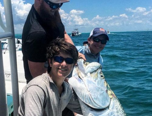 What You Need to Know About Tarpon Fishing Charters in Clearwater
